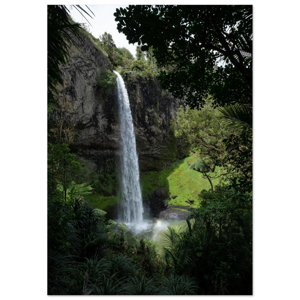 09290620-e740-46aa-931f-30c5d1fde175