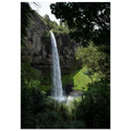 09290620-e740-46aa-931f-30c5d1fde175