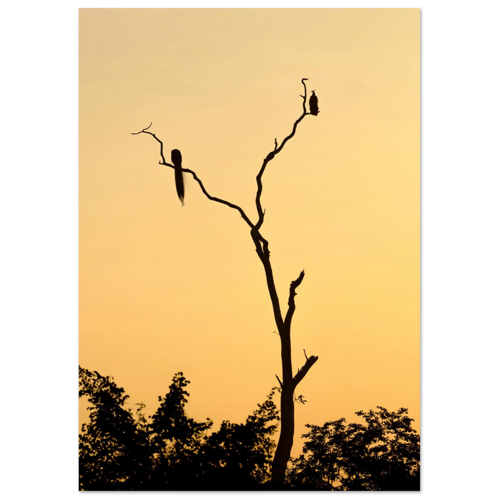 0e5c76fd-f95b-420e-a946-e2f6bcc5cec0