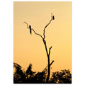 0e5c76fd-f95b-420e-a946-e2f6bcc5cec0