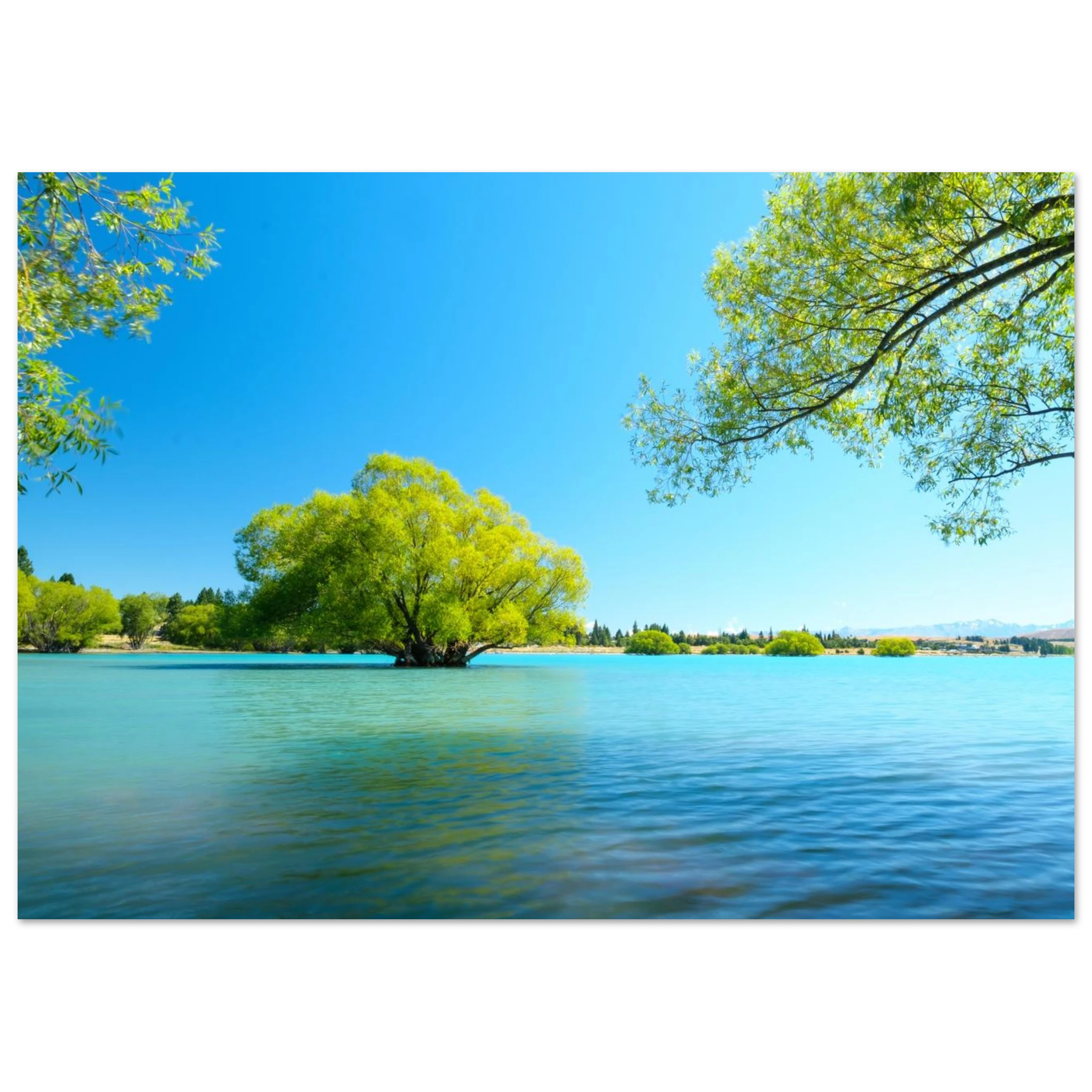 1fd2d7a1-17ed-42d3-8338-c92a3f2f0ec5