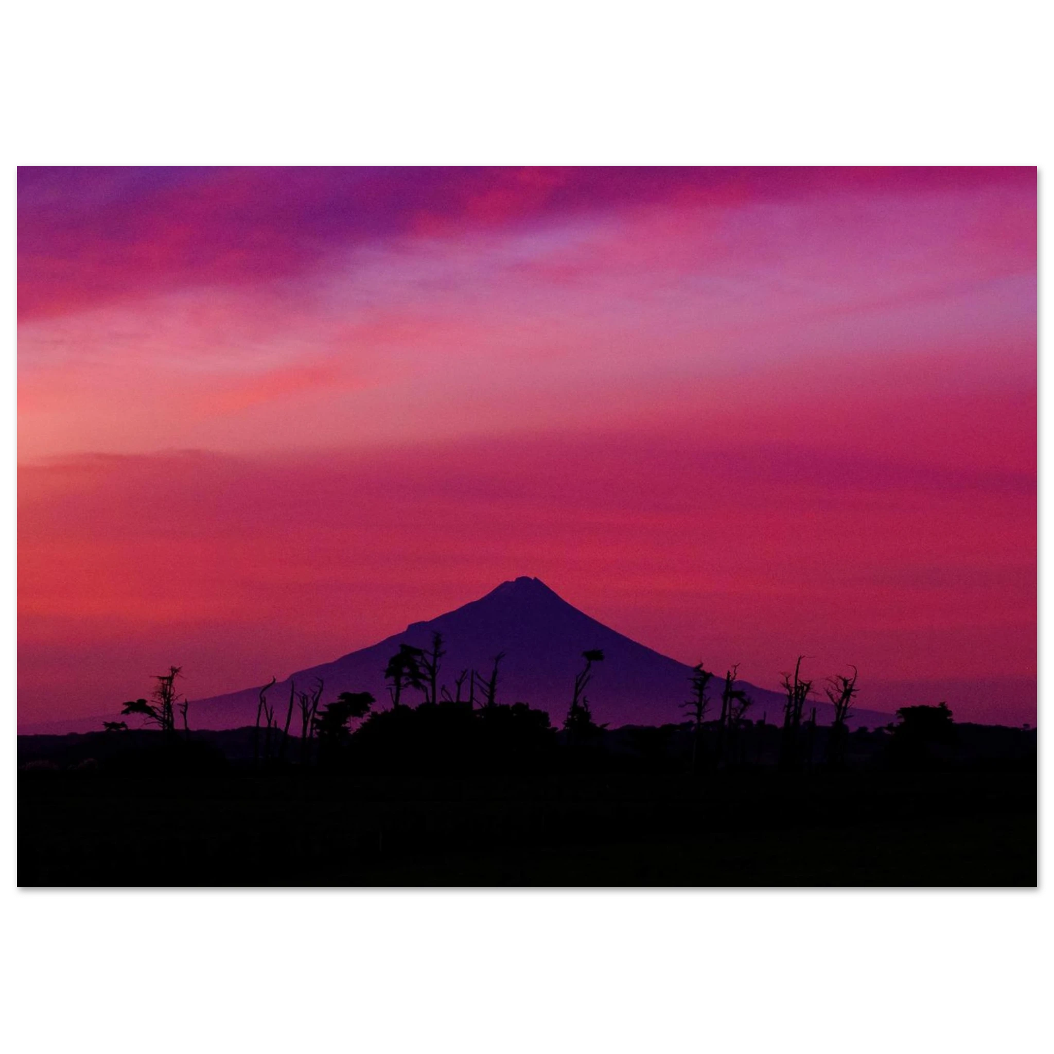21640f43-89a3-4558-aa5a-3780685cb7ed