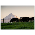 24f90730-0cb8-47a5-a0b9-af162e16527f