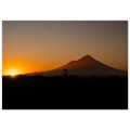 b4a95c02-6f17-4e14-955a-8dba84c55b3c