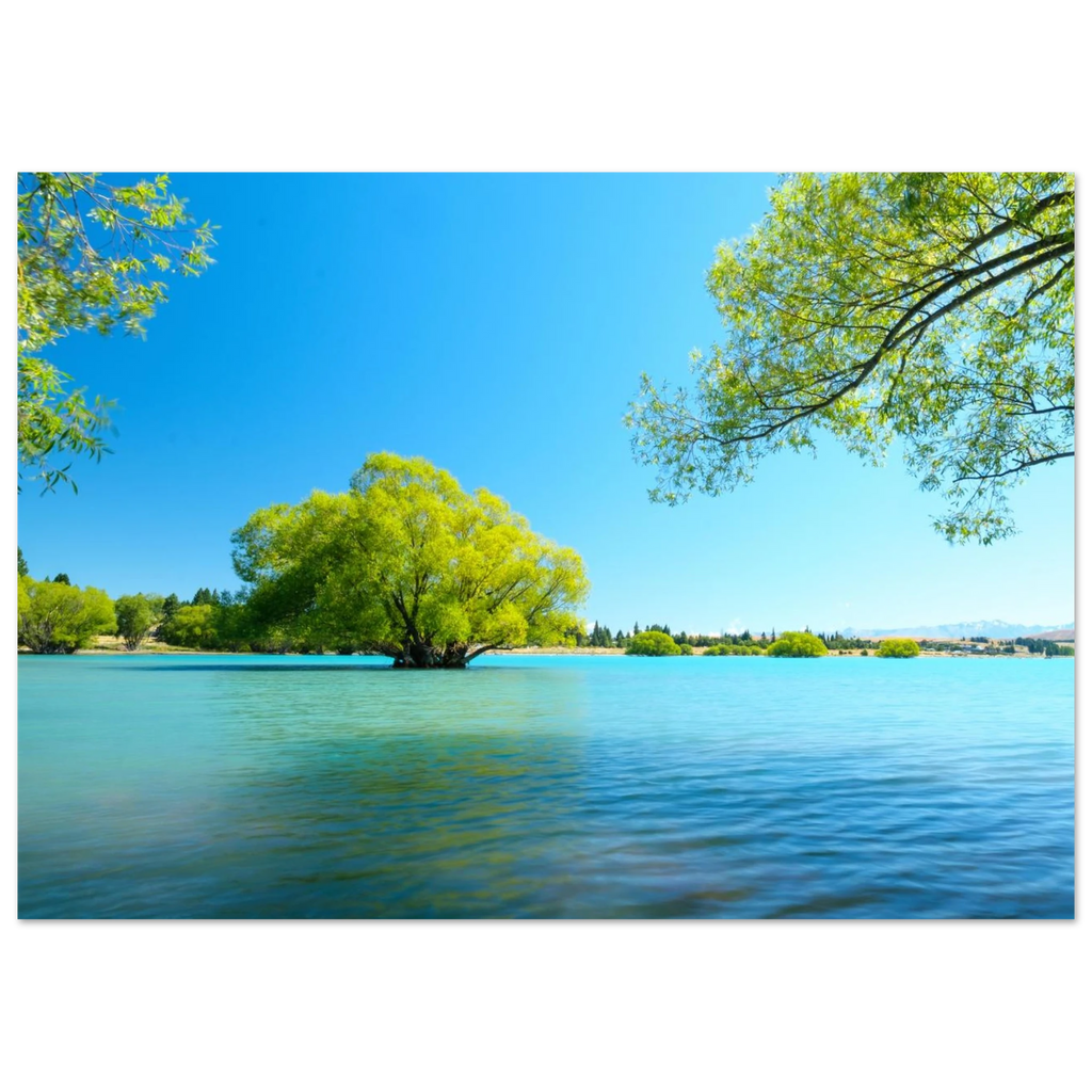cad8c74c-f24c-492c-81e2-388d3de0a95c