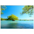 cad8c74c-f24c-492c-81e2-388d3de0a95c