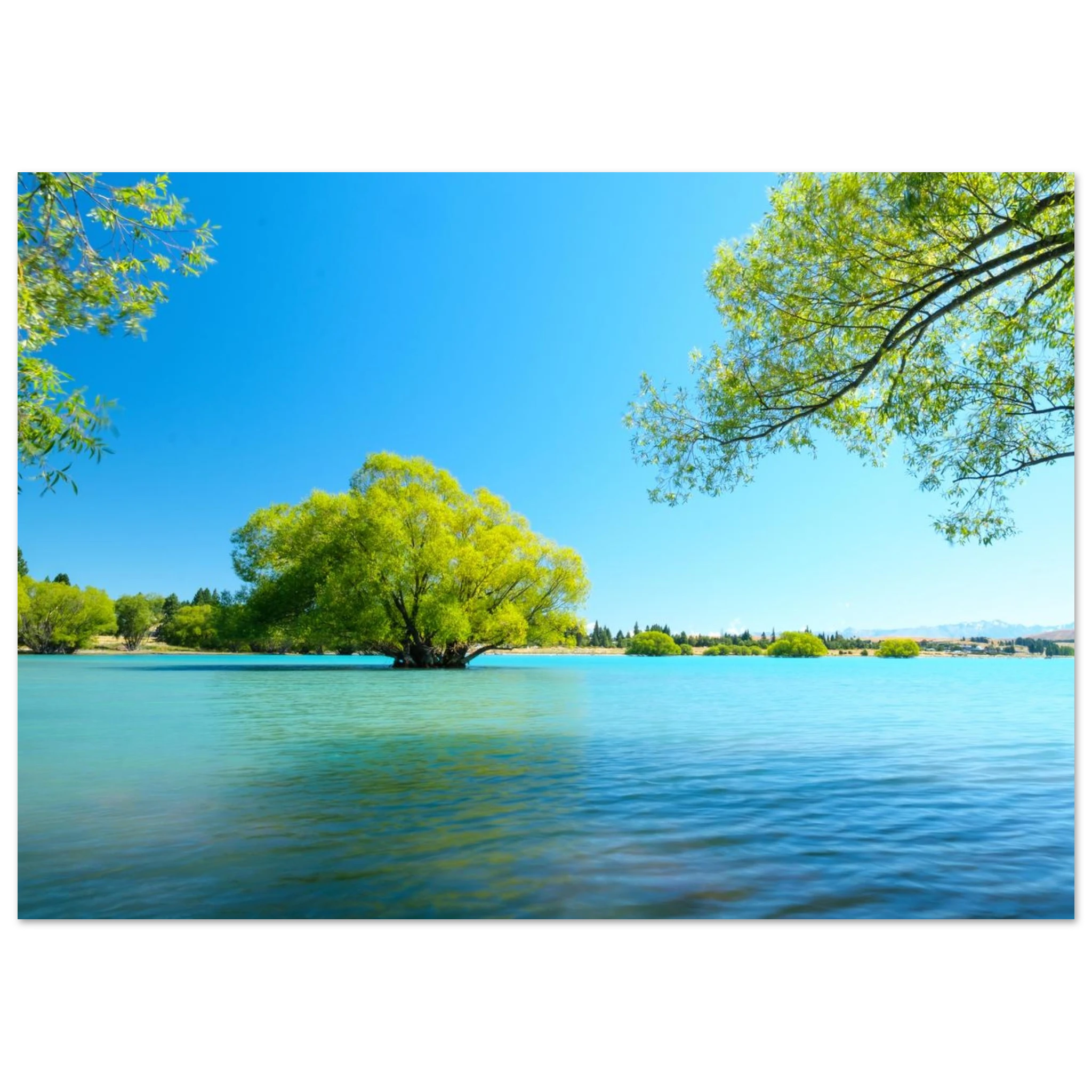 cad8c74c-f24c-492c-81e2-388d3de0a95c