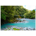 d5752dd7-0823-4a15-8b6f-501da713d406