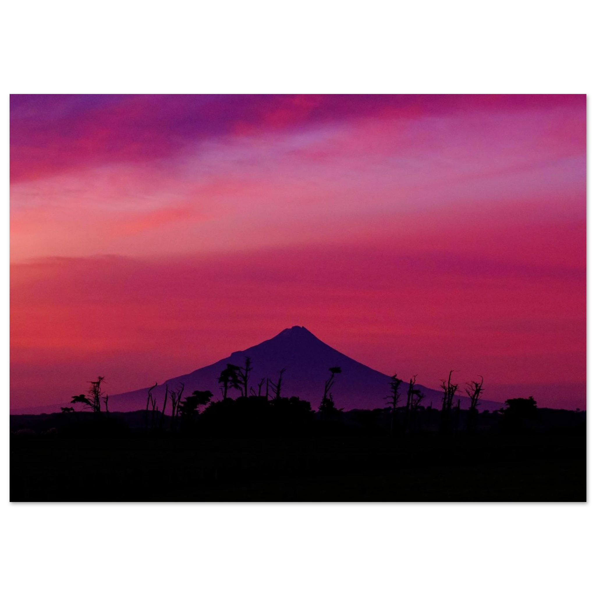 e05510a0-3673-4c42-8835-80dba58ad96e