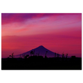 f5b647b5-b0be-4fcd-9388-f5665f0f39c7