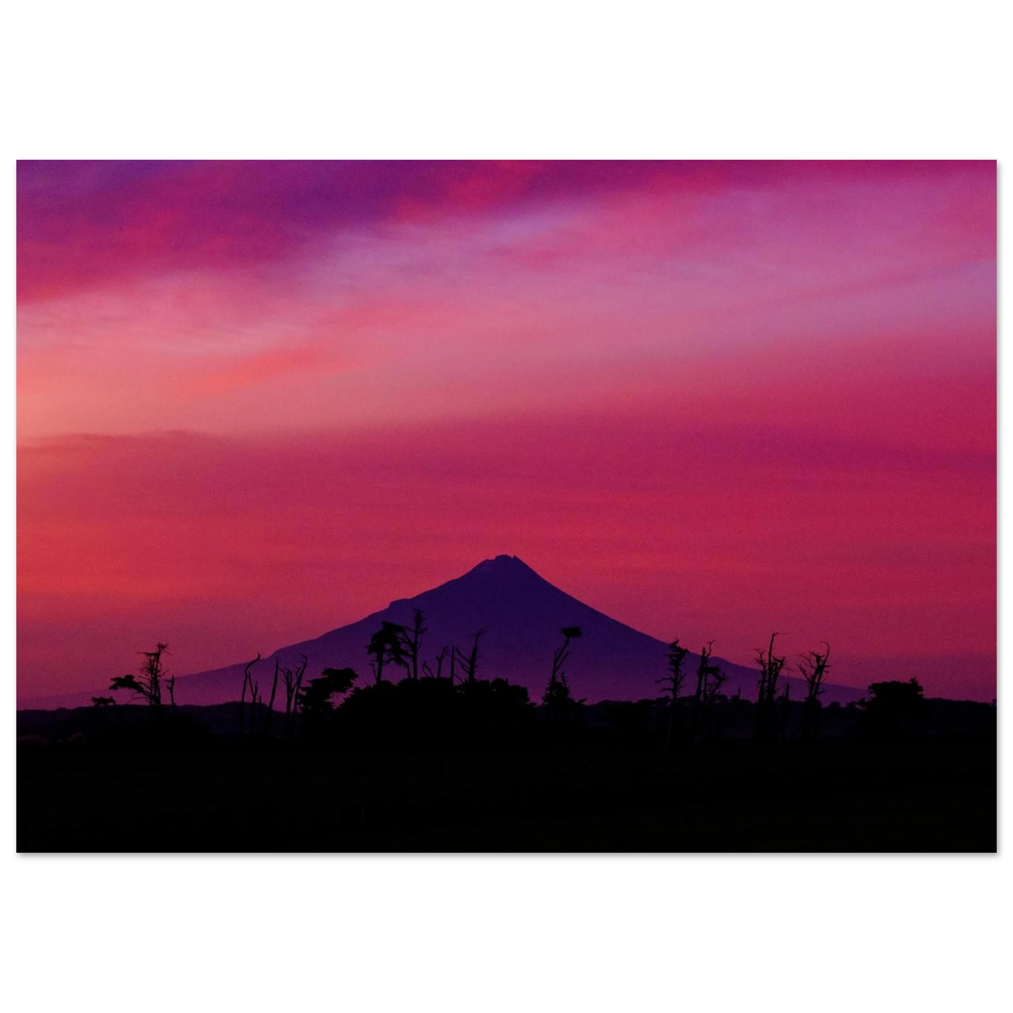 f5b647b5-b0be-4fcd-9388-f5665f0f39c7